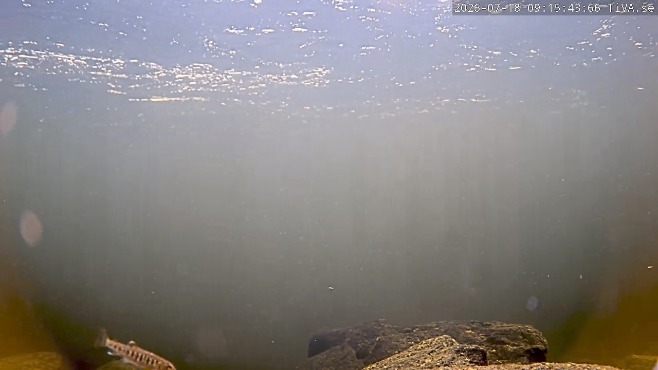 Video 2026-07-18 09:15