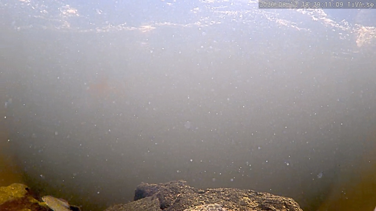 Video 2026-08-12 18:29