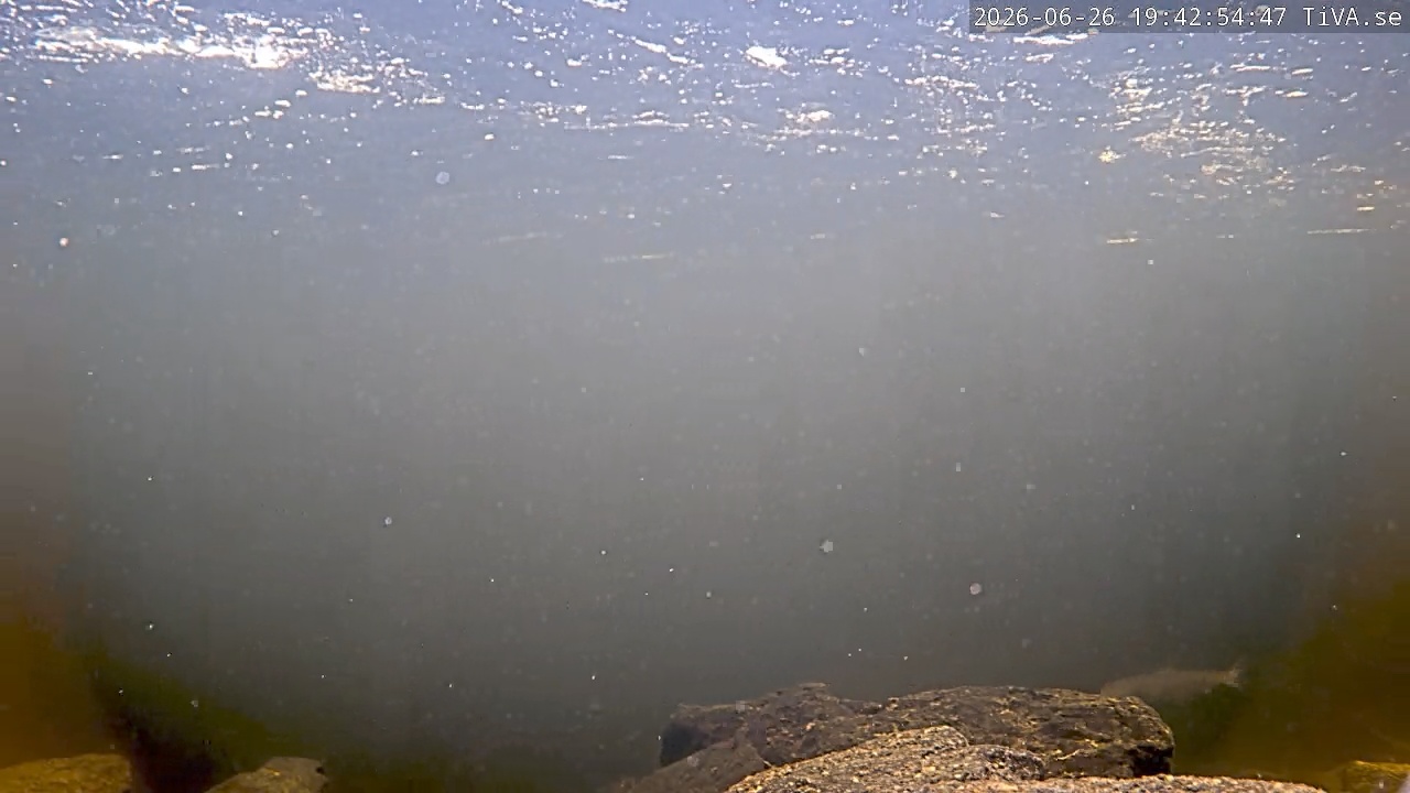 Video 2026-06-26 19:42