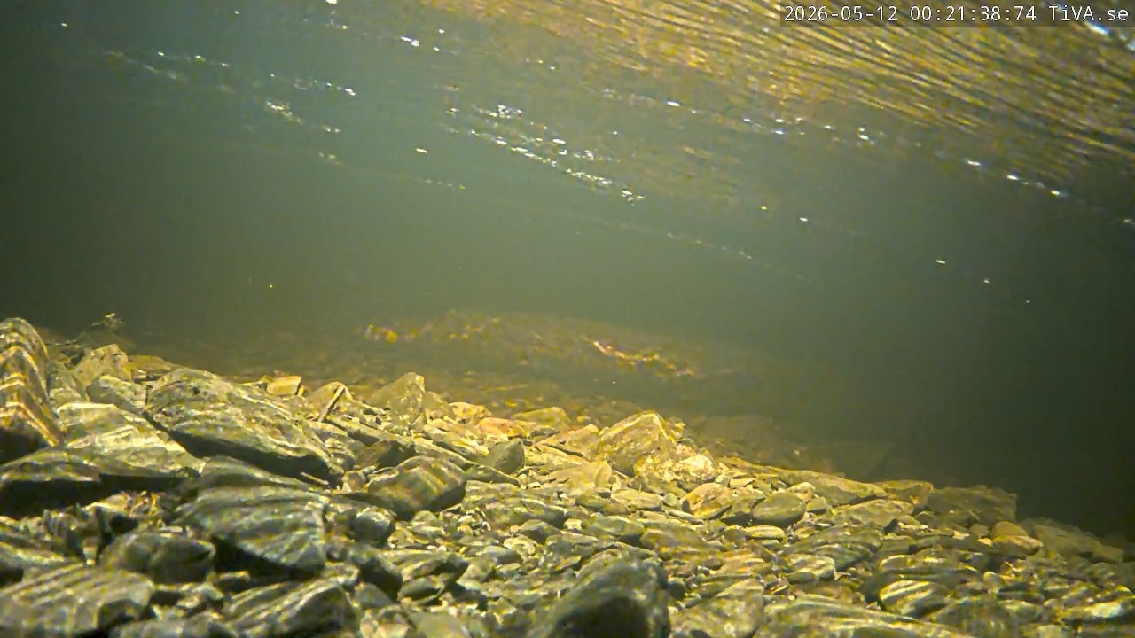 Video 2026-05-12 00:21