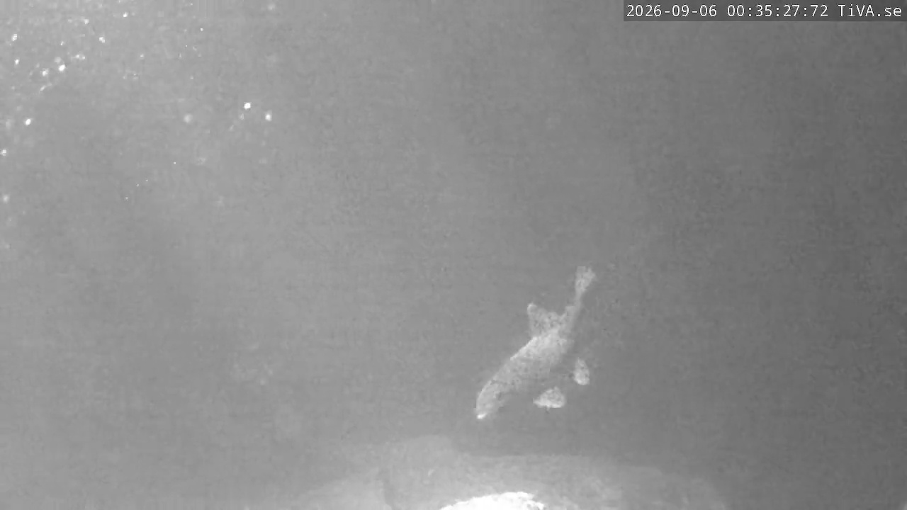 Video 2026-09-06 00:35