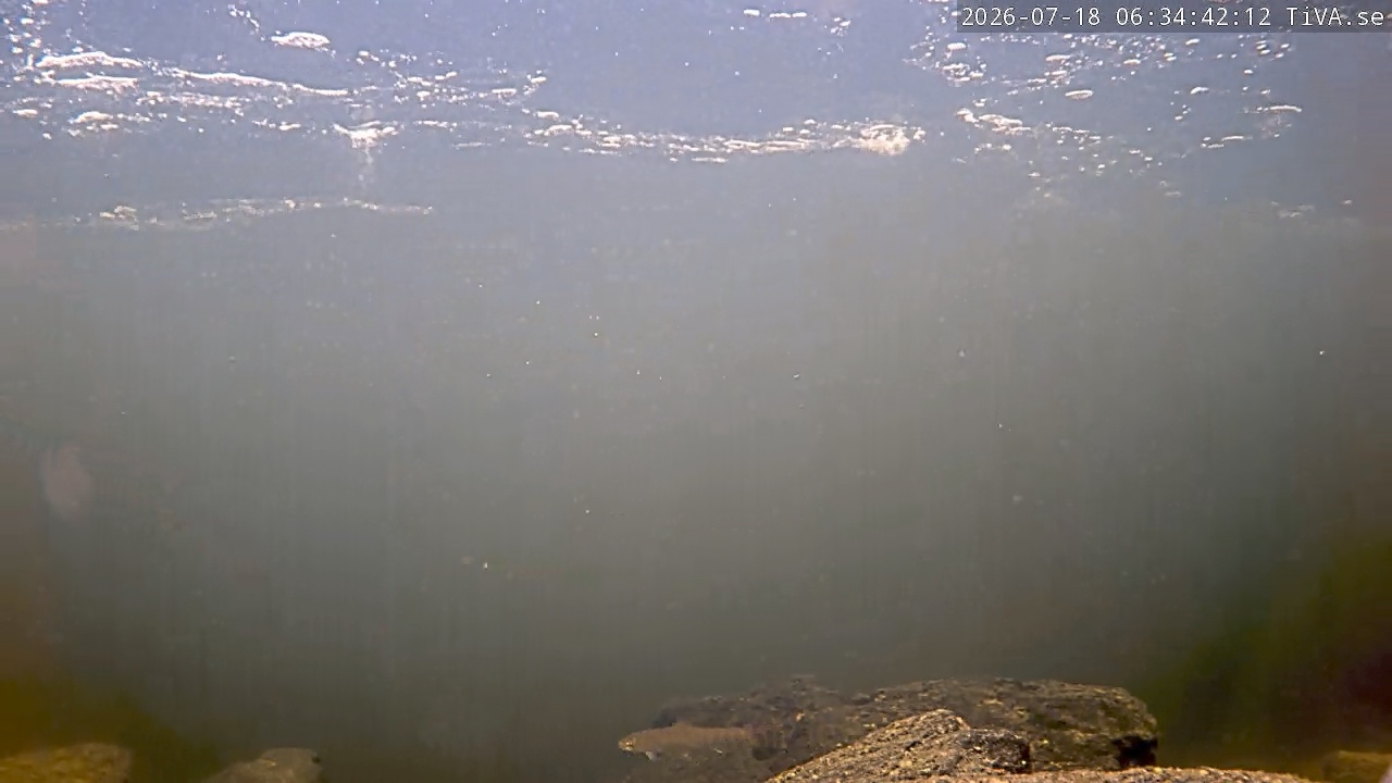 Video 2026-07-18 06:34