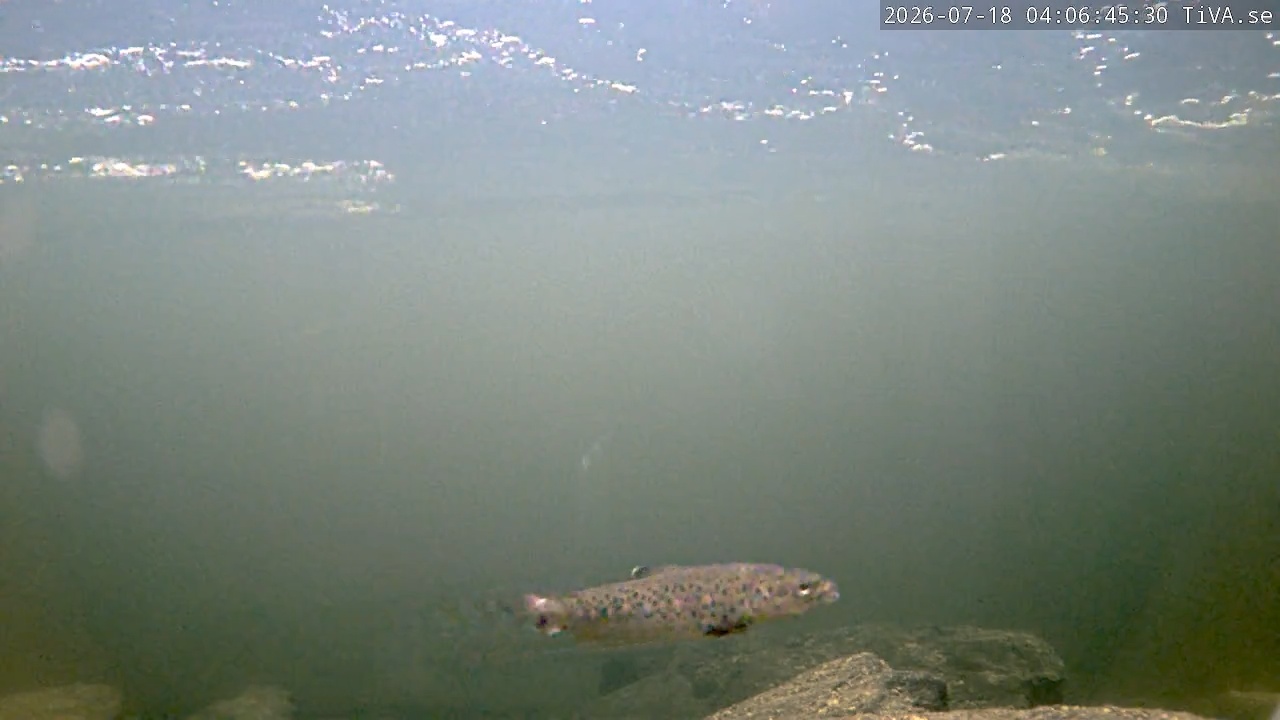 Video 2026-07-18 04:06