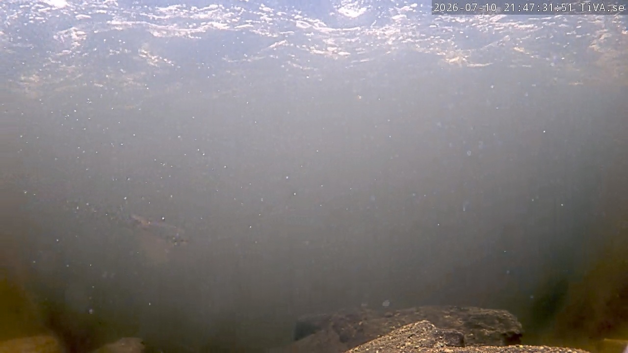 Video 2026-07-10 21:47