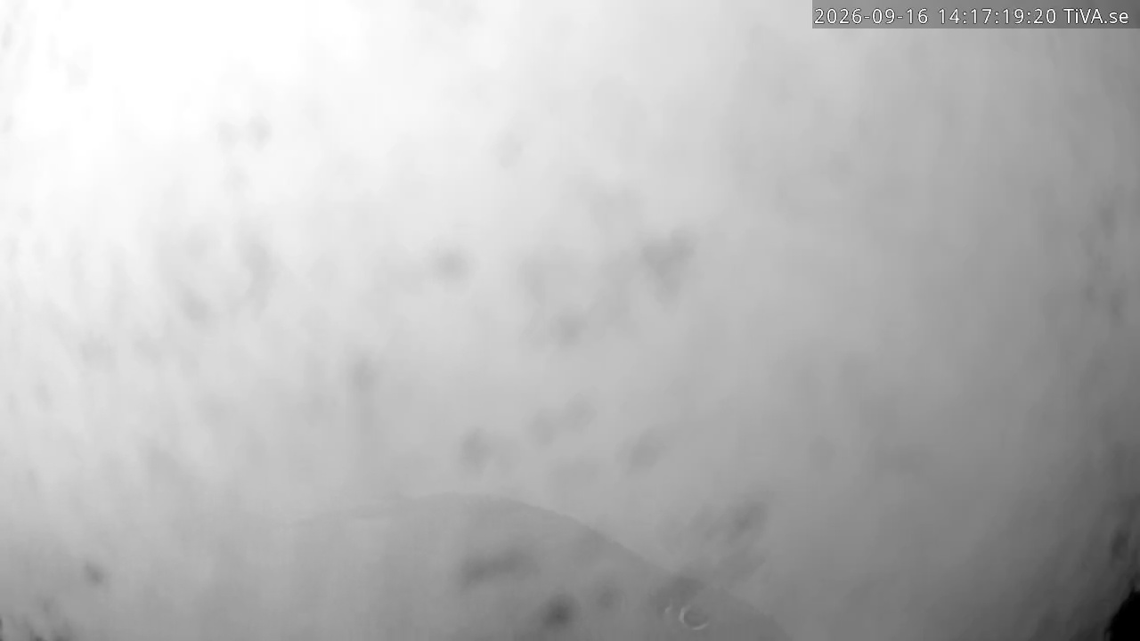Video 2026-09-16 14:17