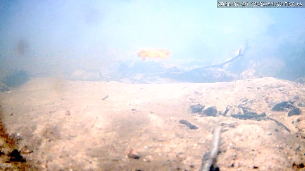 Video 2026-09-23 18:39