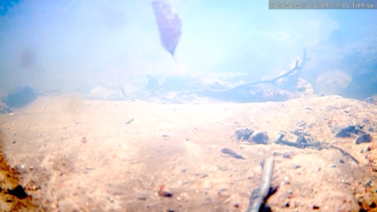 Video 2026-09-23 16:49