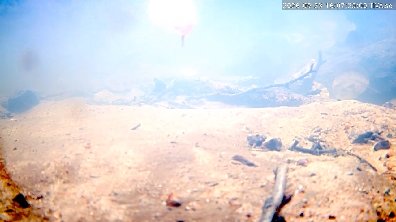 Video 2026-09-23 16:07