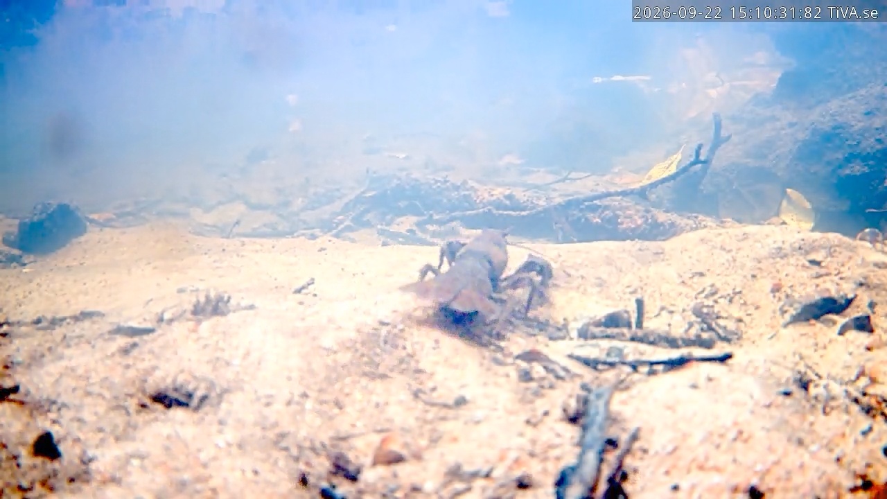Video 2026-09-22 15:10