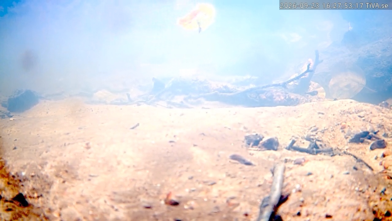 Video 2026-09-23 16:27
