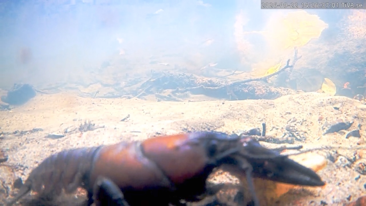 Video 2026-09-22 14:26