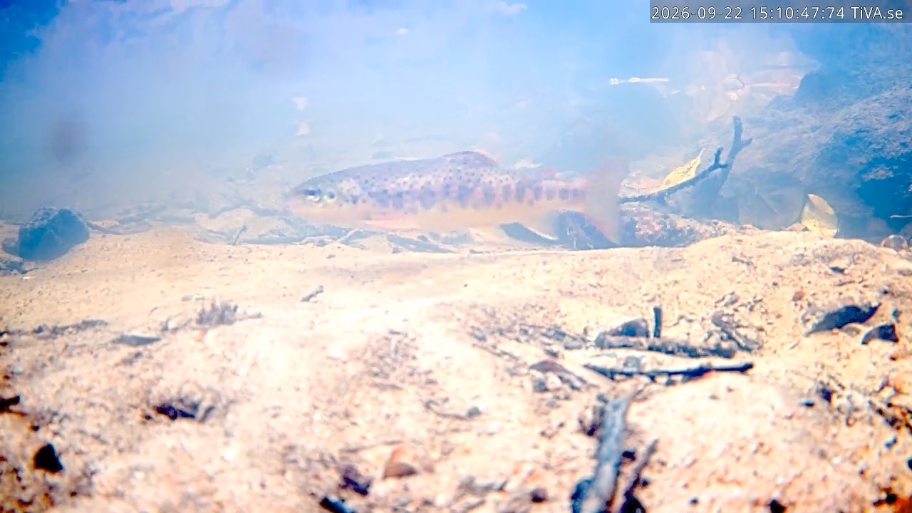Video 2026-09-22 15:10