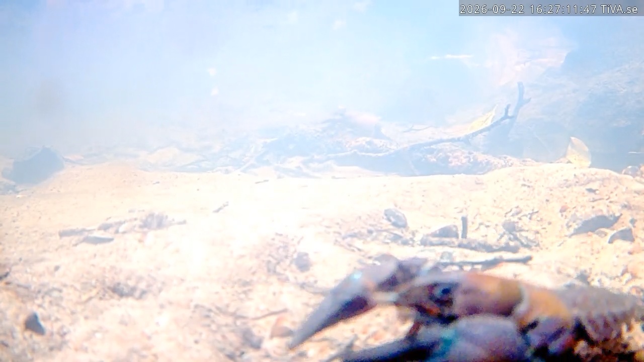 Video 2026-09-22 16:27