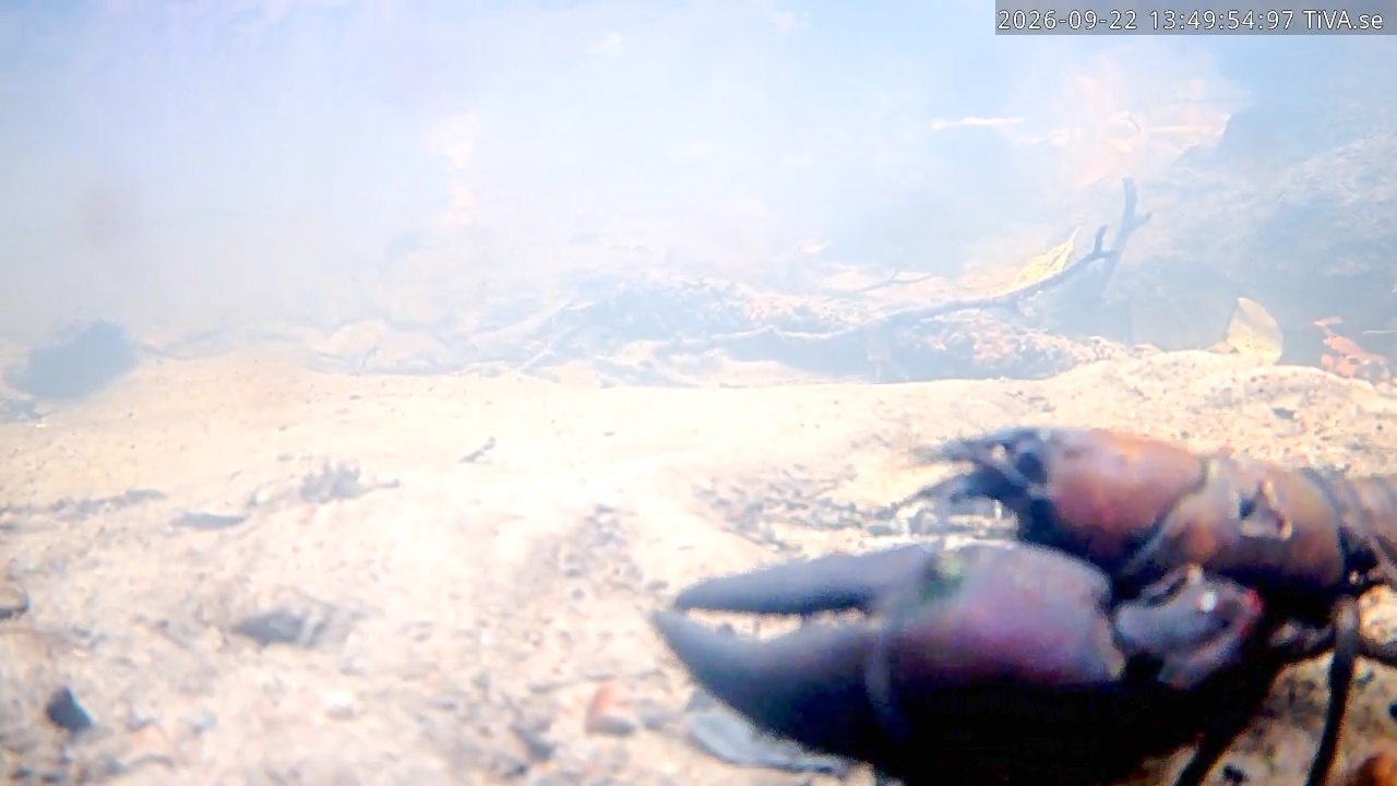 Video 2026-09-22 13:49