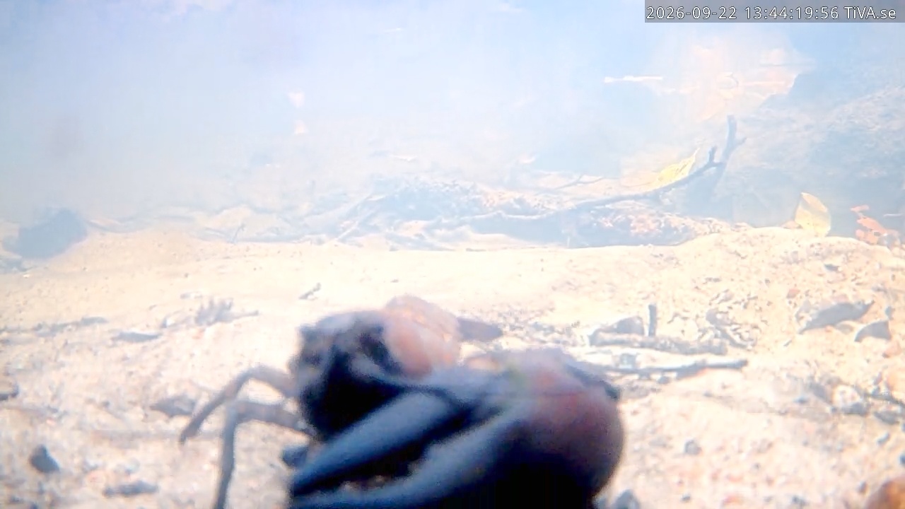 Video 2026-09-22 13:44