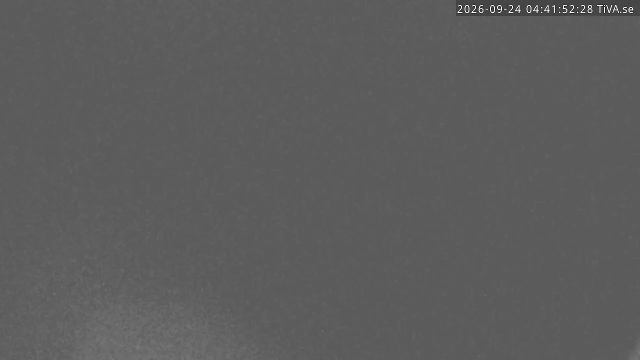 Live bild