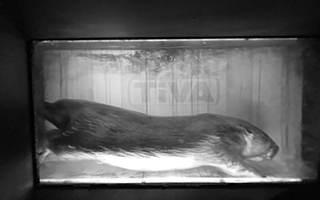 Video 2026-09-25 02:24