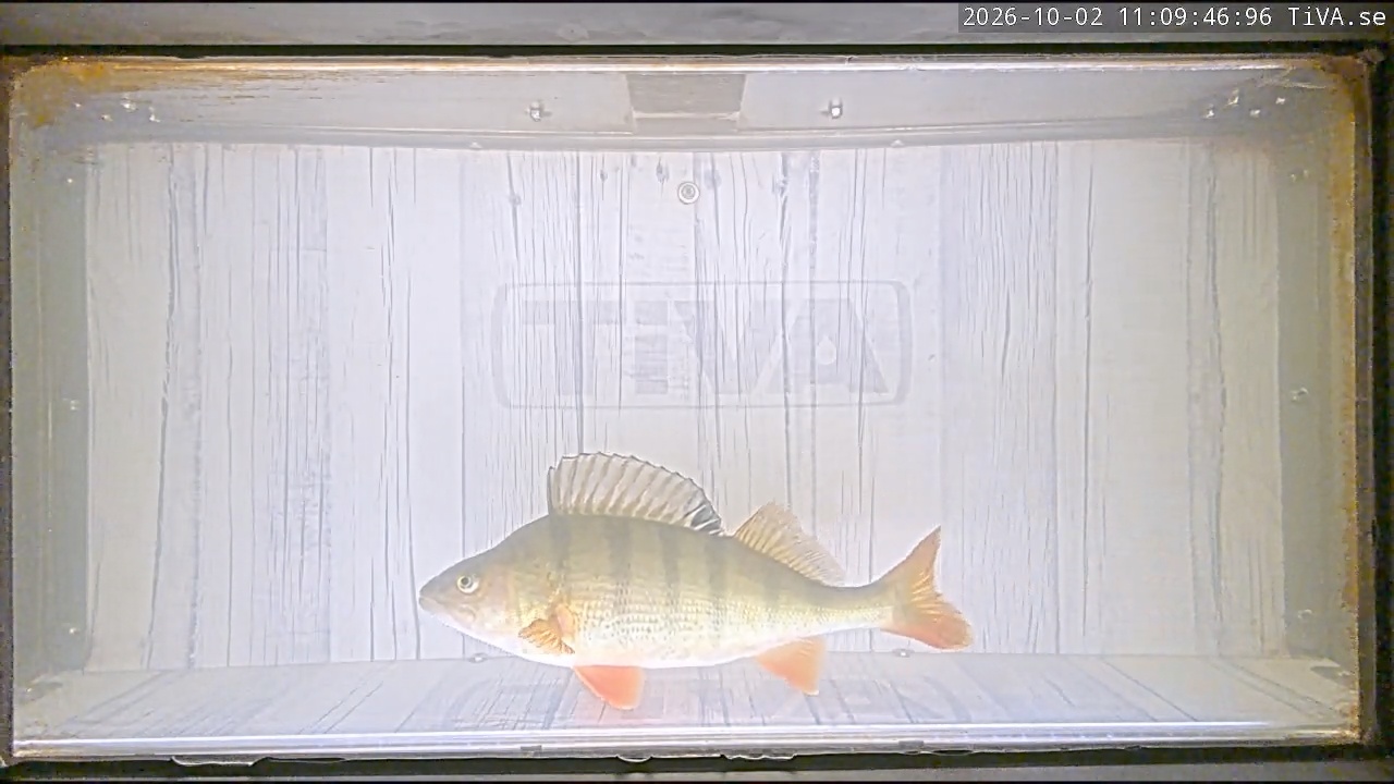 Video 2026-10-02 11:09