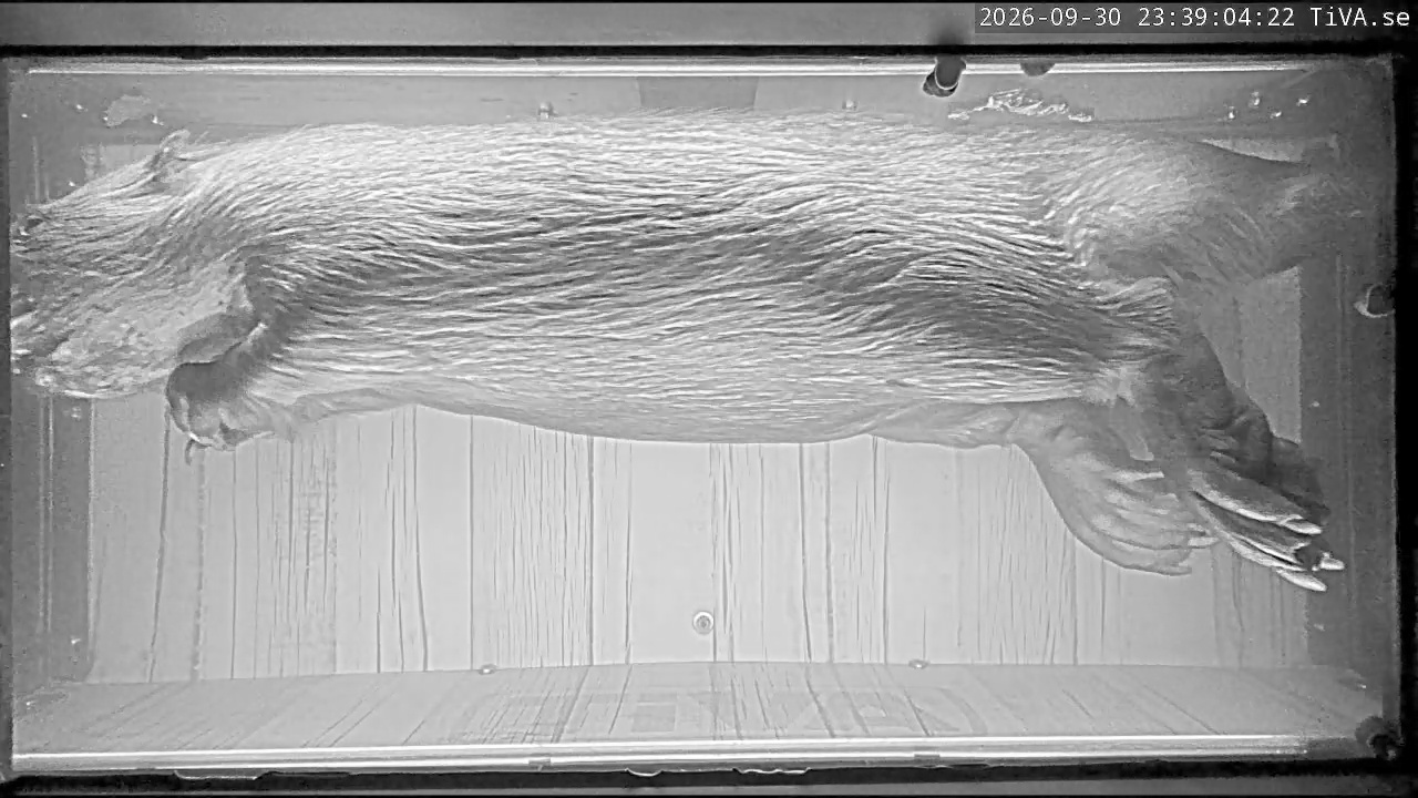 Video 2026-09-30 23:39
