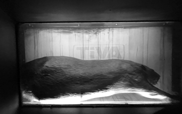 Video 2026-09-21 02:07
