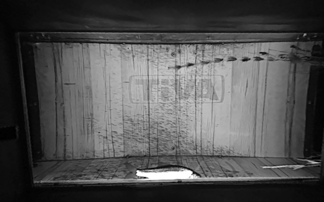 Video 2026-09-18 05:07