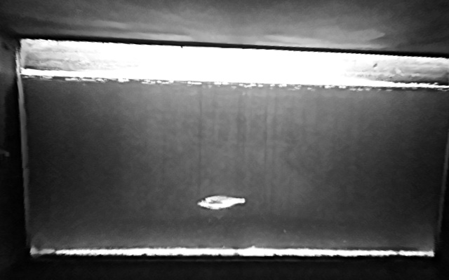 Video 2026-09-29 23:57