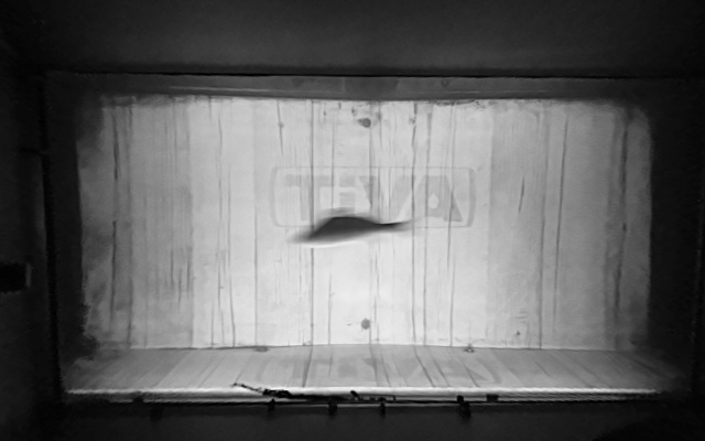 Video 2026-09-19 00:50