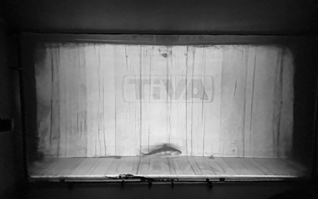 Video 2026-09-19 00:54