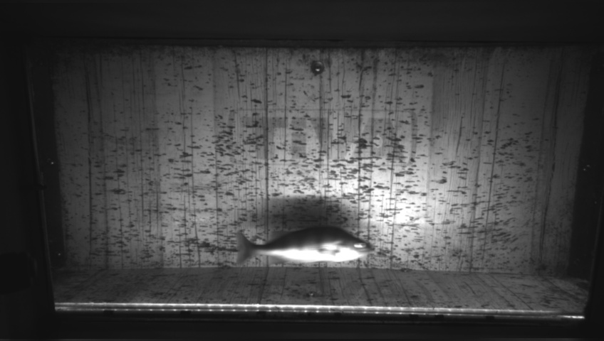 Video 2026-09-23 07:08