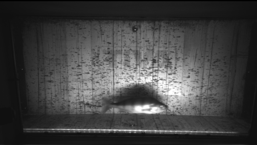 Video 2026-09-20 06:35