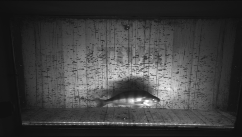 Video 2026-09-17 07:04