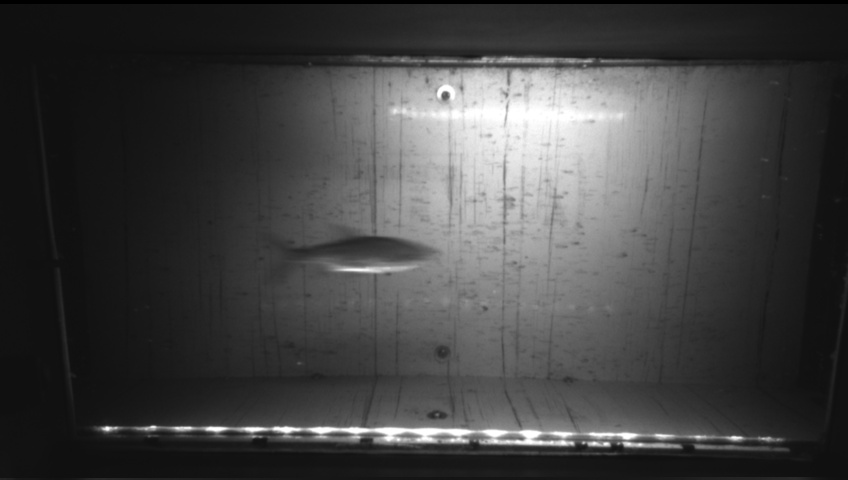 Video 2026-09-25 20:20