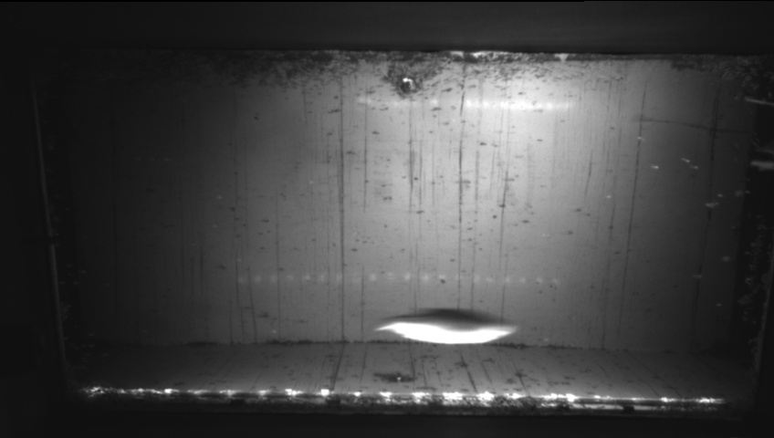 Video 2026-09-05 05:25