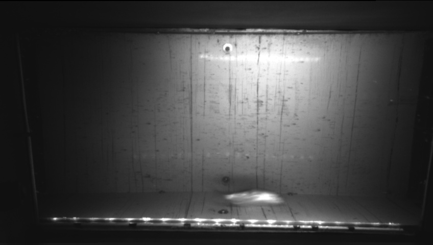 Video 2026-09-21 22:49