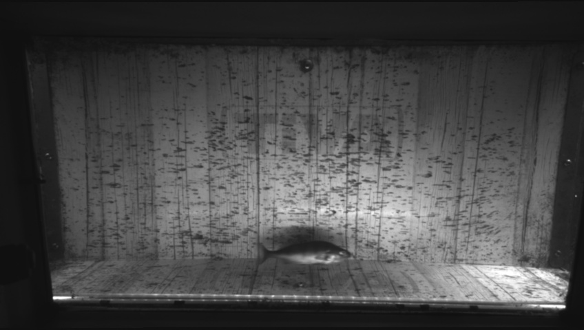 Video 2026-09-17 11:09
