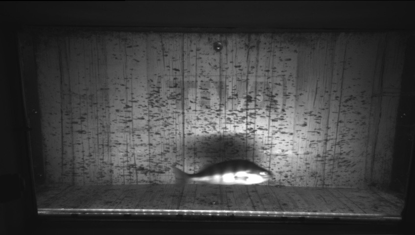 Video 2026-09-21 17:54