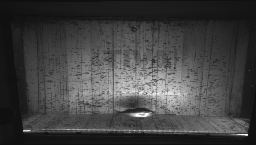 Video 2026-09-16 14:53