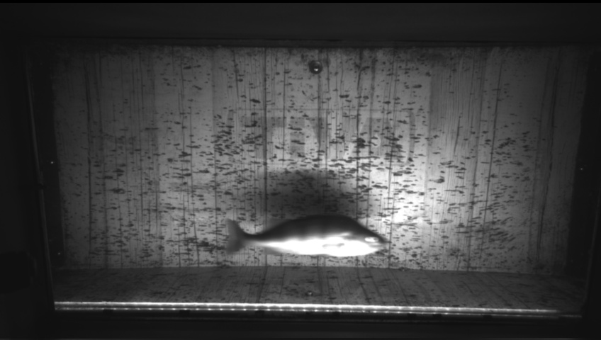 Video 2026-09-25 06:40