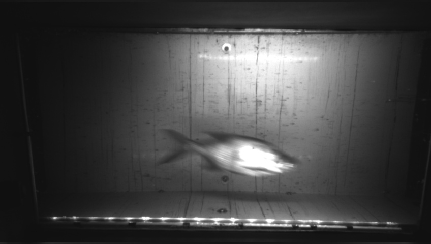 Video 2026-09-22 01:39