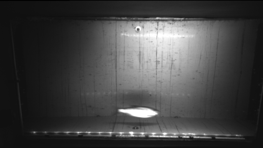 Video 2026-09-16 21:00