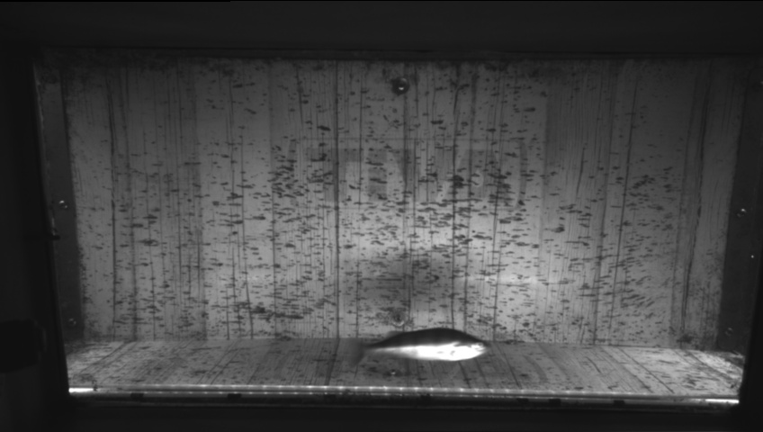 Video 2026-09-17 13:51