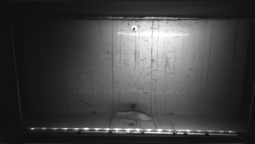 Video 2026-09-21 20:47