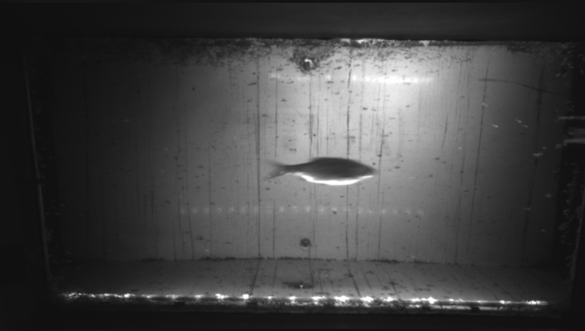 Video 2026-09-05 05:09