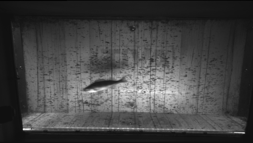 Video 2026-09-16 15:23