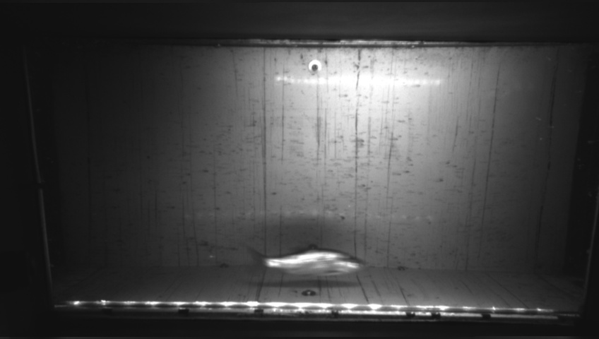 Video 2026-09-23 19:00