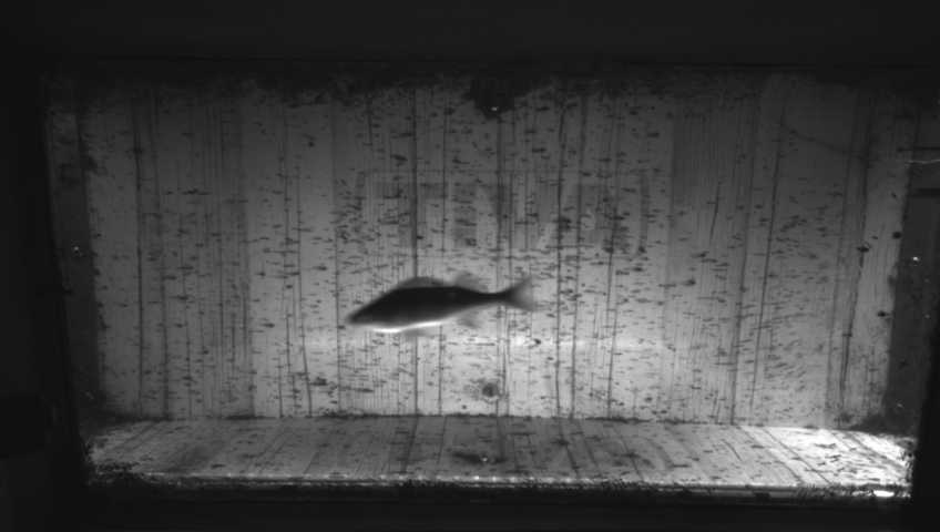 Video 2026-09-05 10:30