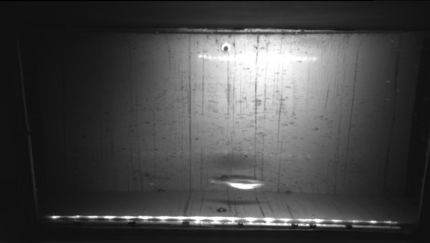 Video 2026-09-26 04:05