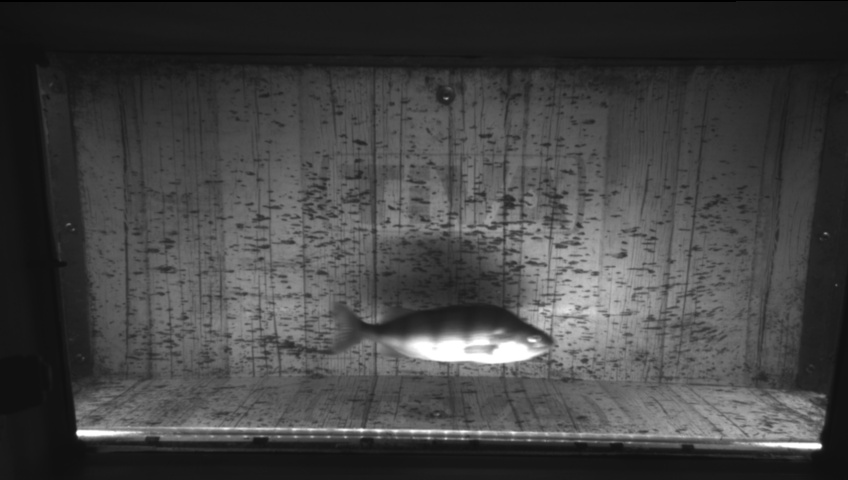 Video 2026-09-22 12:03