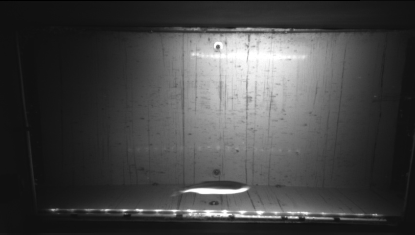 Video 2026-09-20 01:23