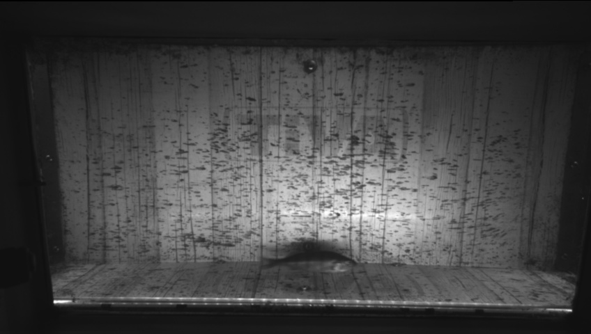 Video 2026-09-17 15:25